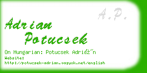 adrian potucsek business card